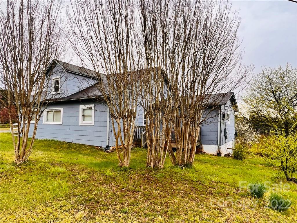 a view of a yard with a large tree