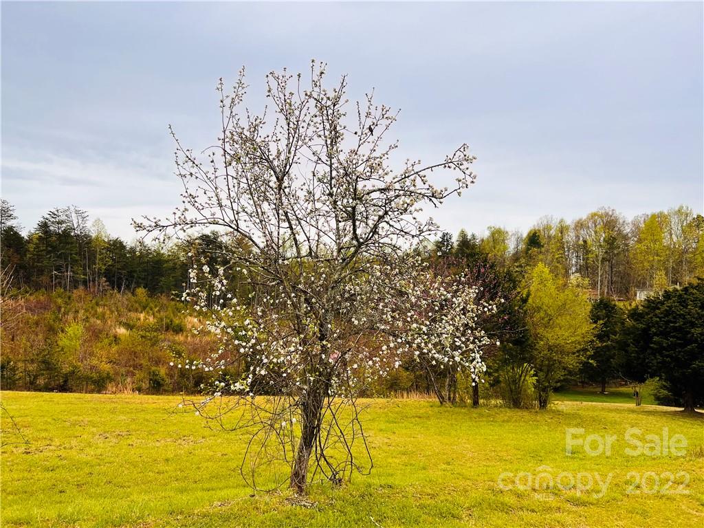 4080 Piney Road Morganton, NC 28655 - Photo 6 of 26 a view of beach with trees