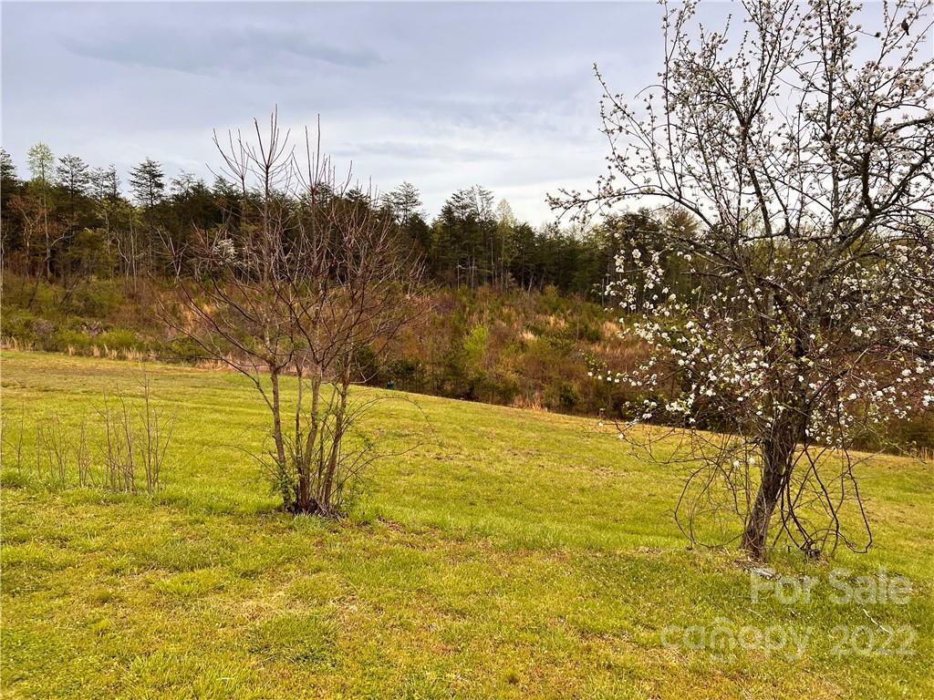 4080 Piney Road Morganton, NC 28655 - Photo 8 of 26 a view of an ocean view