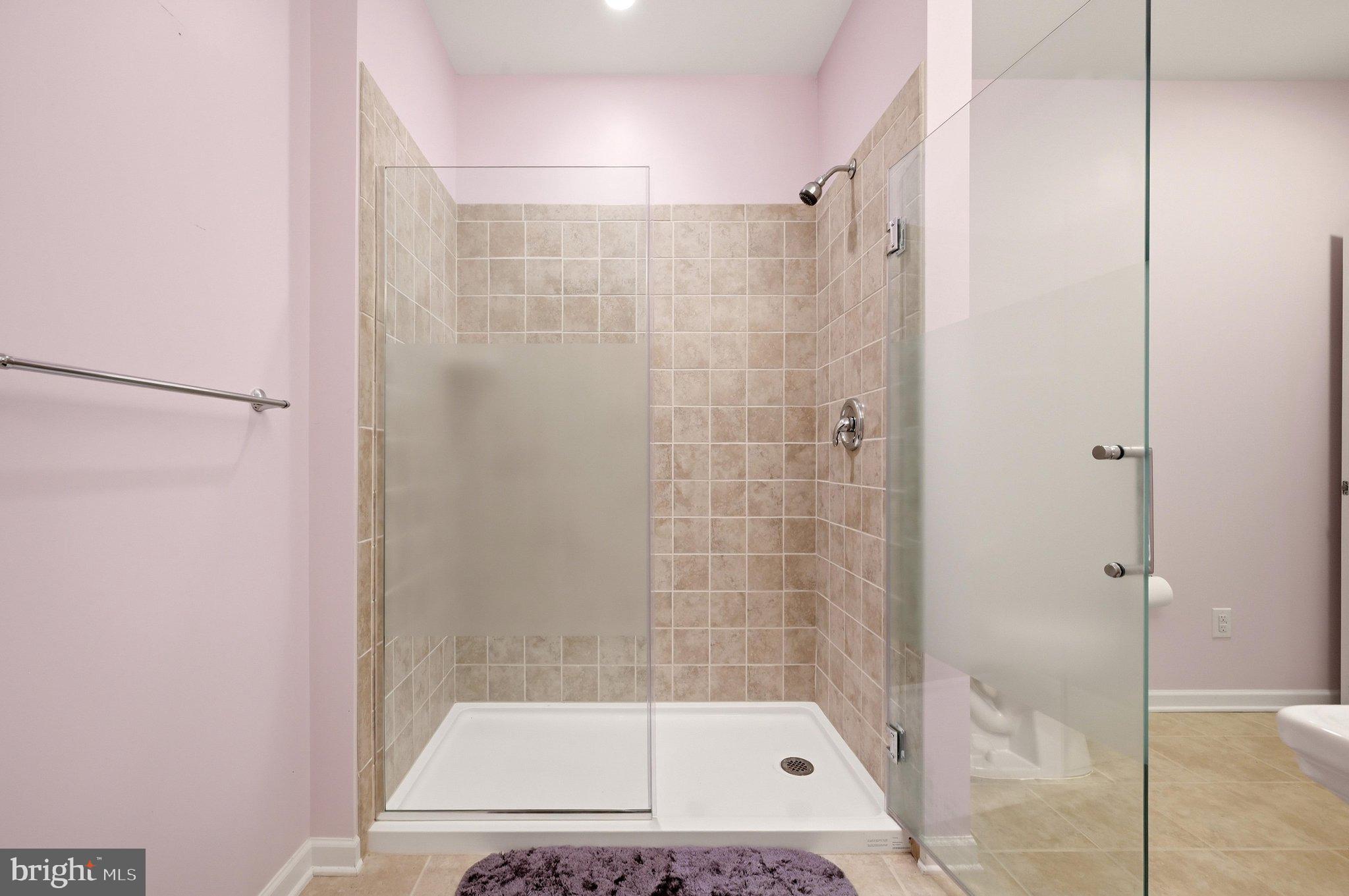 314 Huntersridge Road Winchester, VA 22602 - Photo 50 of 76 Full Bathroom Lower Level