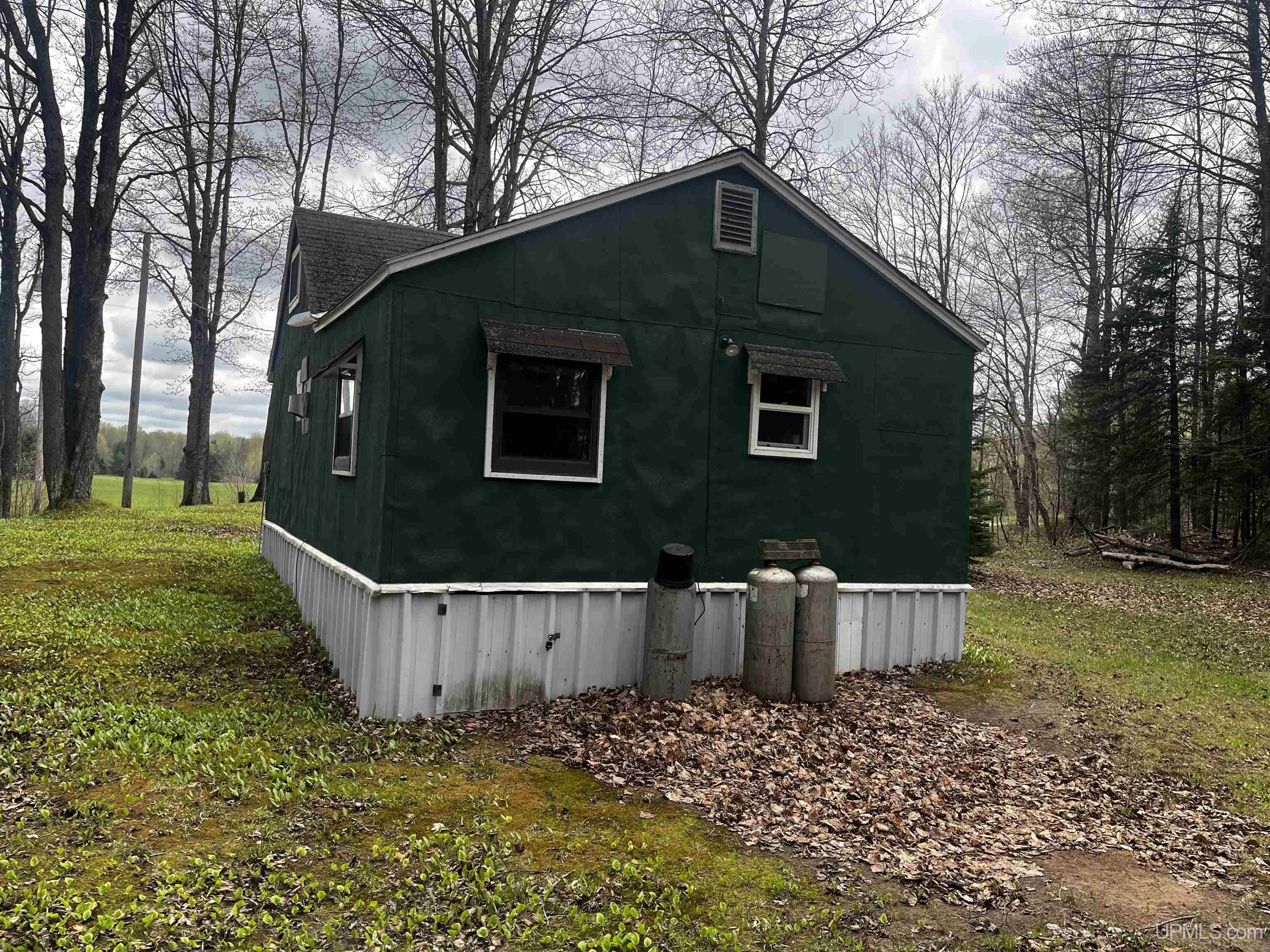 3946 East Storm Road Chatham, MI 49816 - Photo 9 of 37