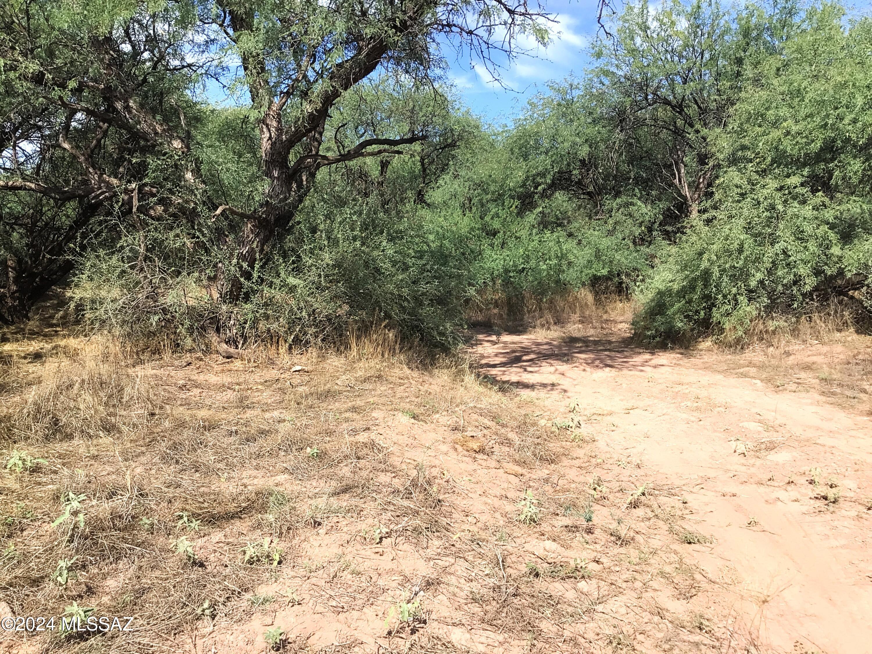 36.01-ac West Pronghorn Rdg Road, Unit 205 Willcox, AZ 85643 - Photo 18 of 37