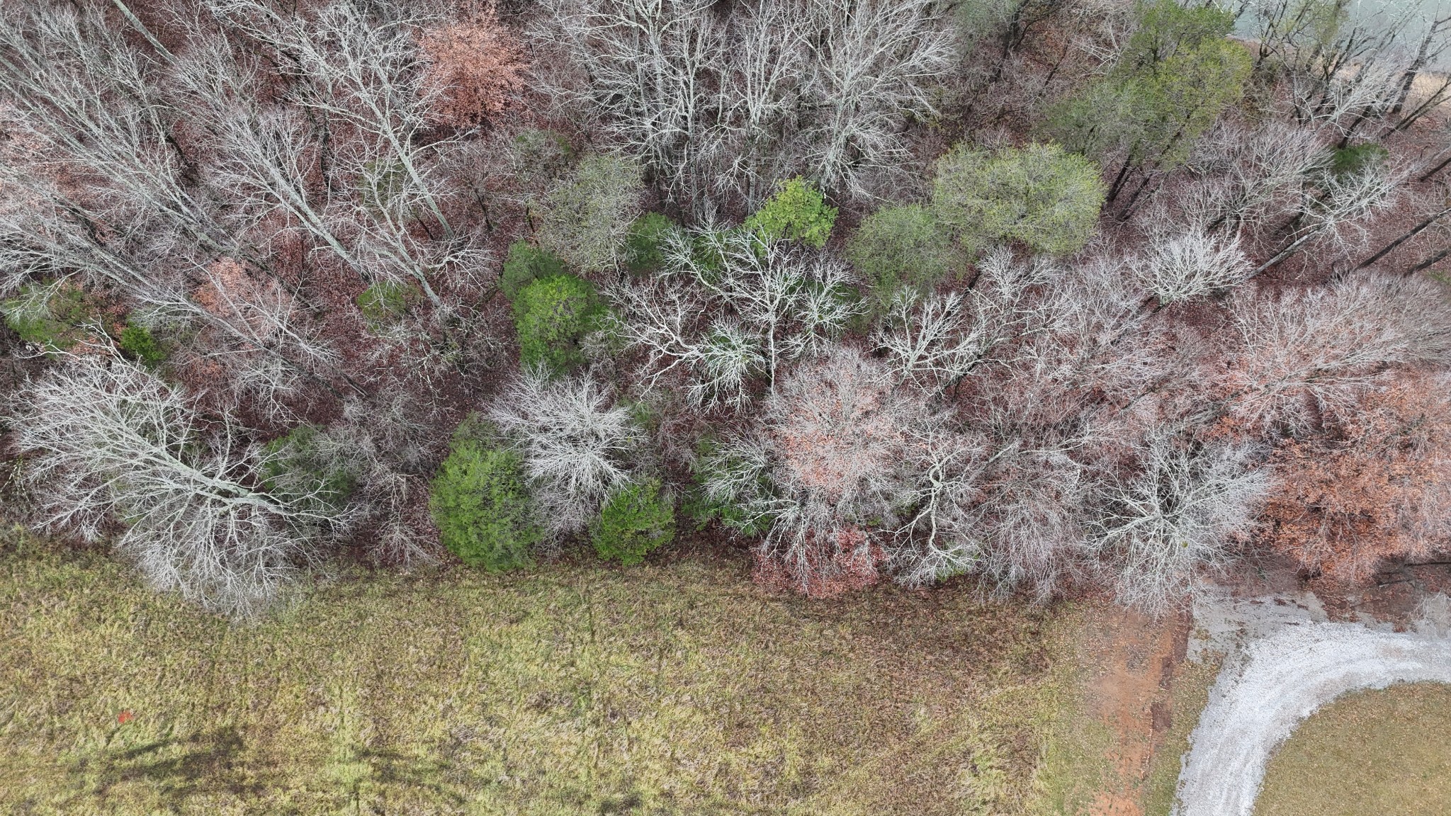 23 Hidden River Road Rock Island, TN 38581 - Photo 3 of 10 Gallery Image 3