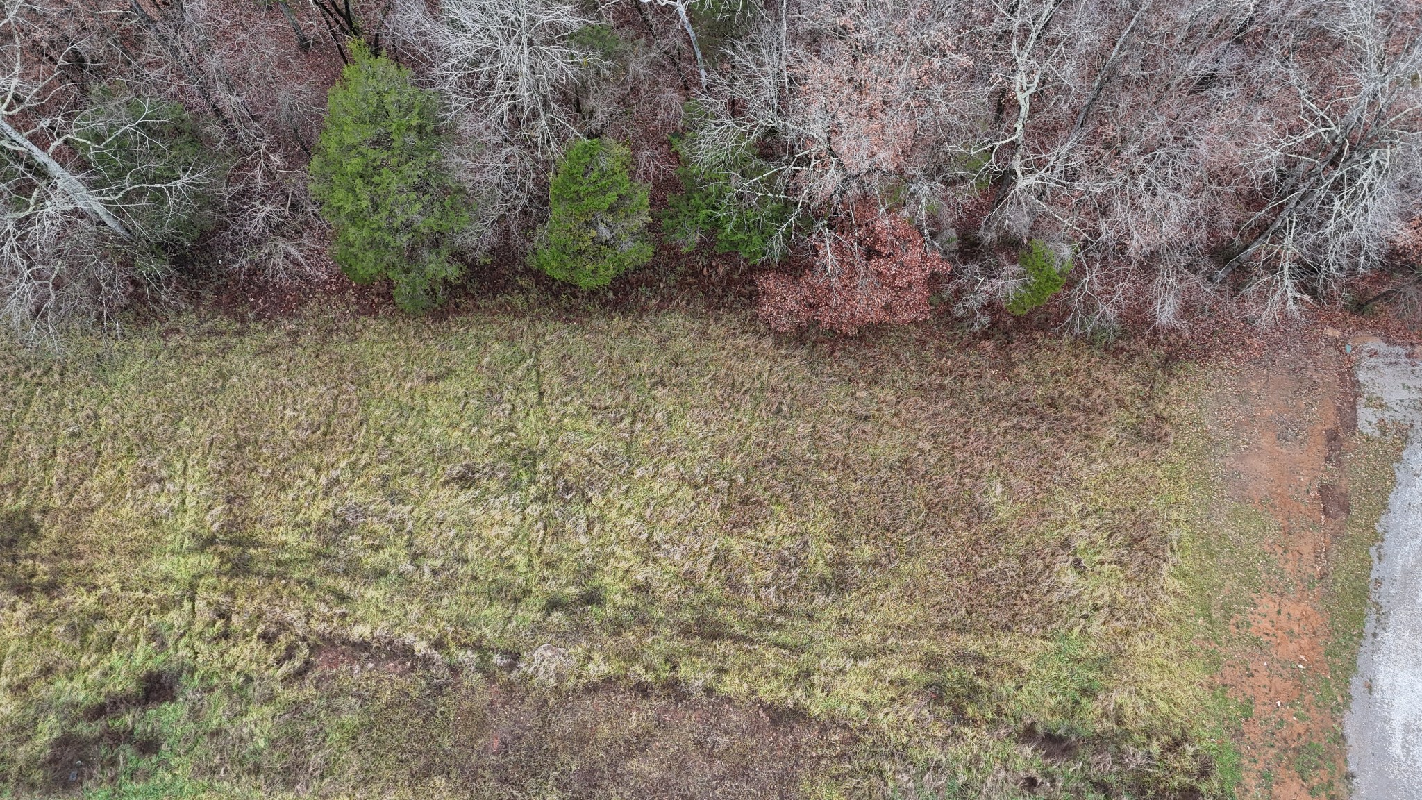 23 Hidden River Road Rock Island, TN 38581 - Photo 4 of 10 Gallery Image 4