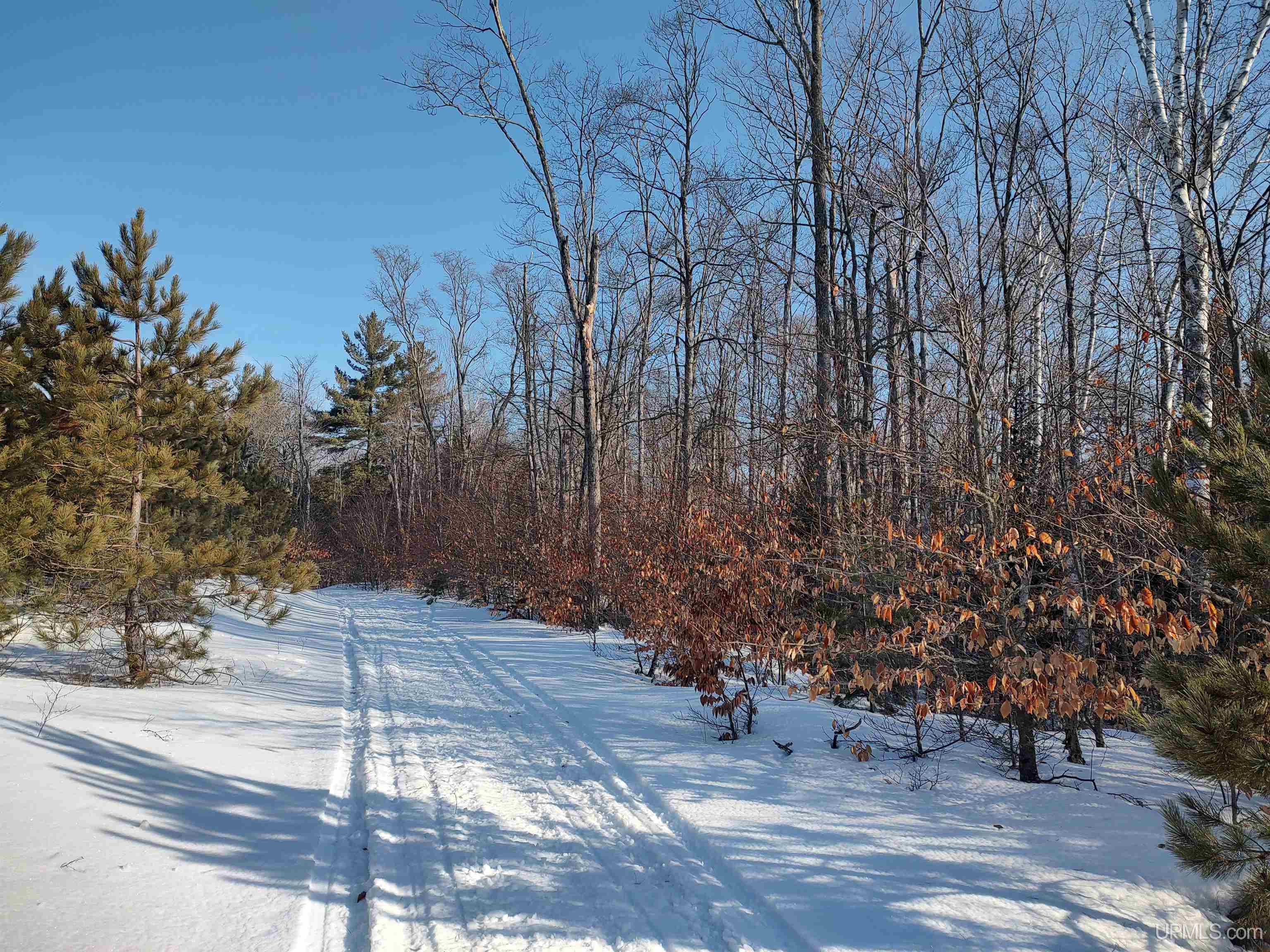 40-acres Gierke Road Manistique, MI 49854 - Photo 16 of 39