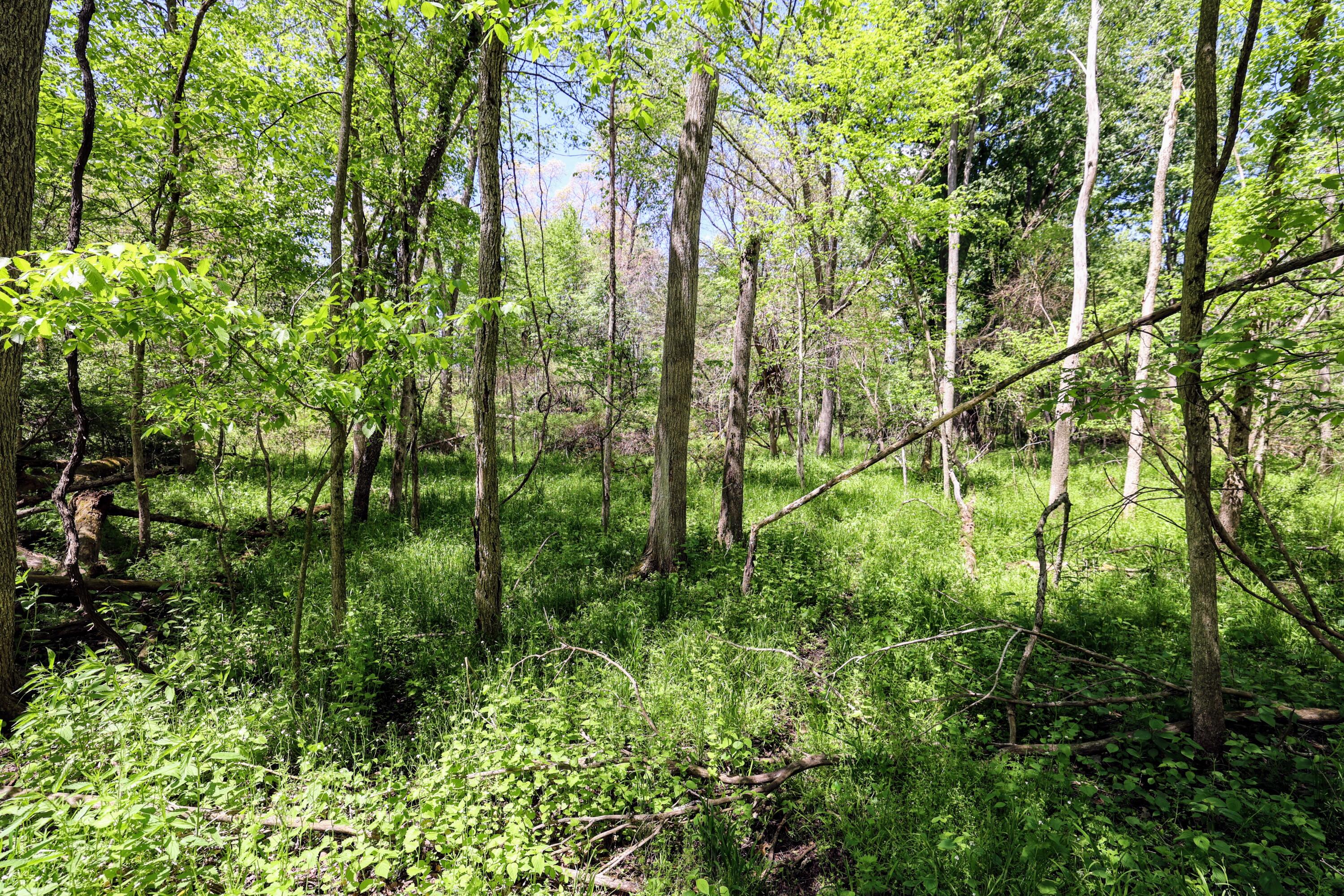 8 1/2 8 1/2 Mile Road Burlington, MI 49029 - Photo 24 of 55 24