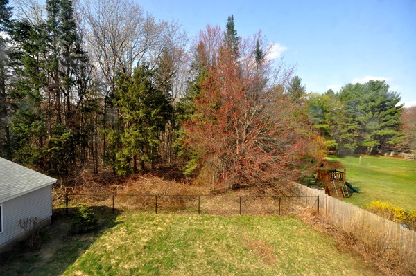133 Summer Street Maynard, MA 01754 - Photo 19 of 20 Gallery Image 19