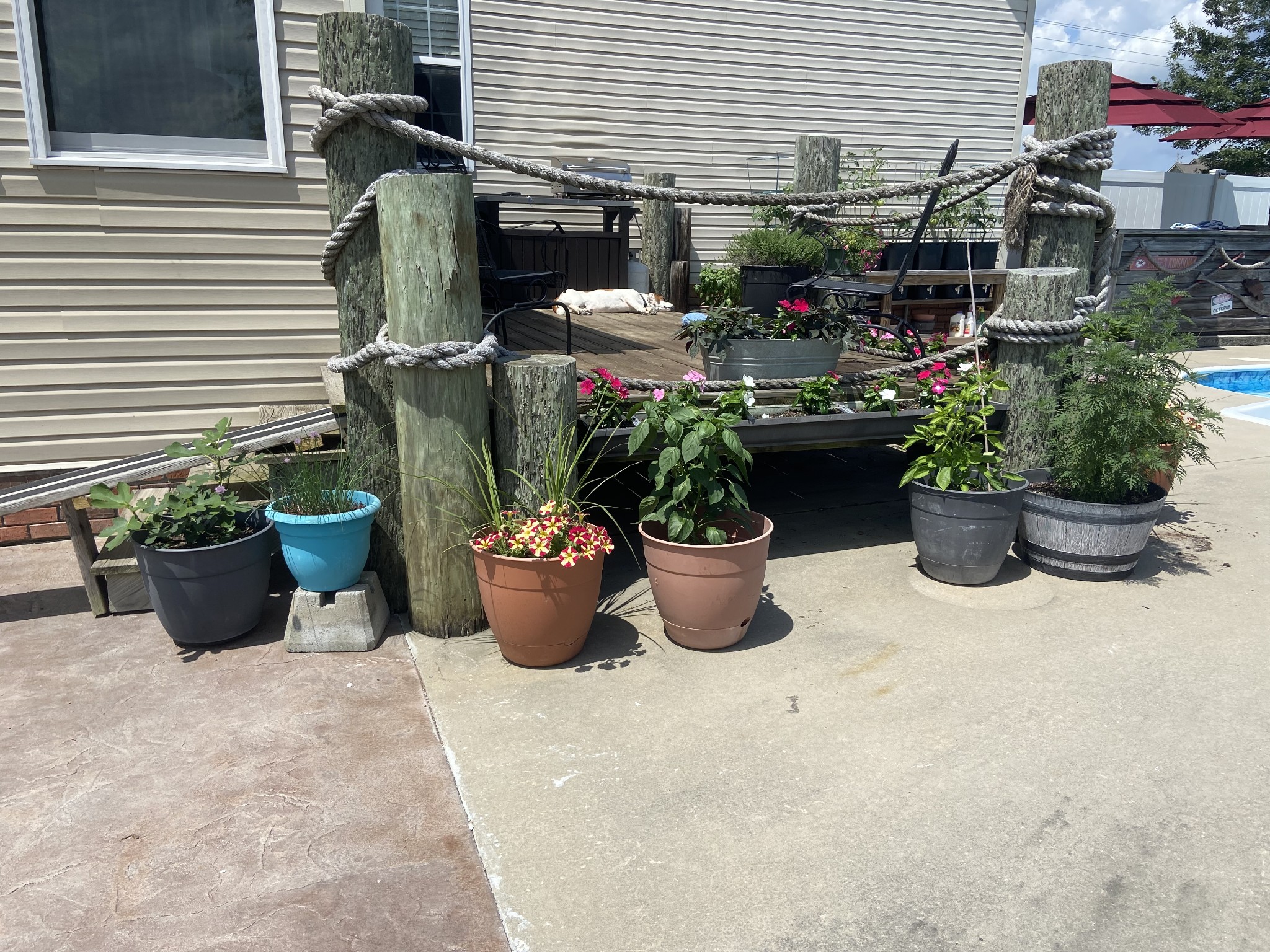 485 Rigney Road Manchester, TN 37355 - Photo 60 of 61 a view of a house with sitting area and potted plants