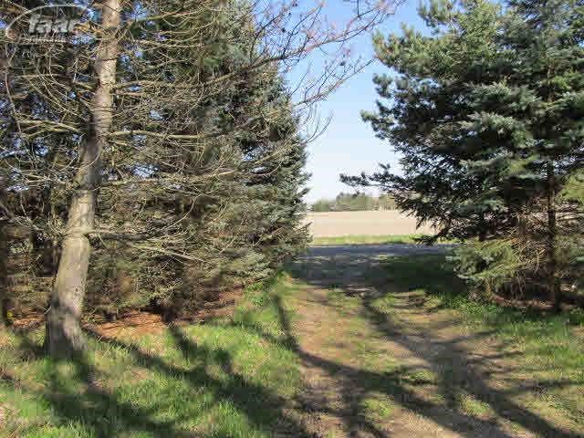 8060 Lemon Road Bancroft, MI 48414 - Photo 5 of 8 20308630-4.JPG