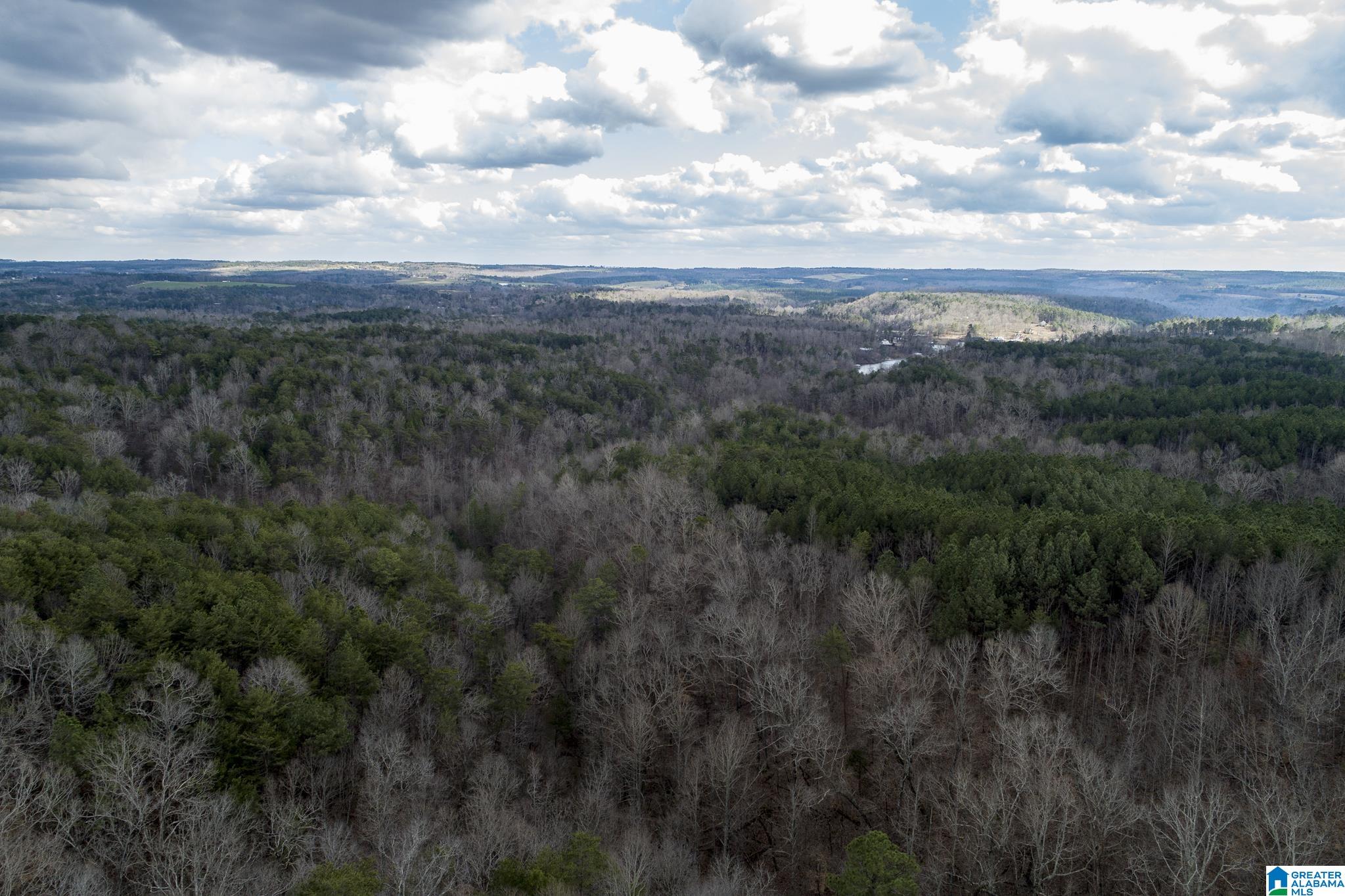 0 U.S. Highway 31 Calera, AL 35040 - Photo 1 of 1