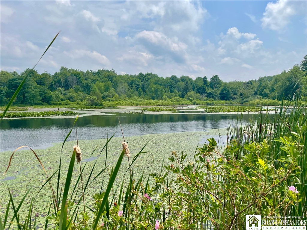 0 Chautauqua Road South Pomfret, NY 14063 - Photo 1 of 1 Gallery Image 1