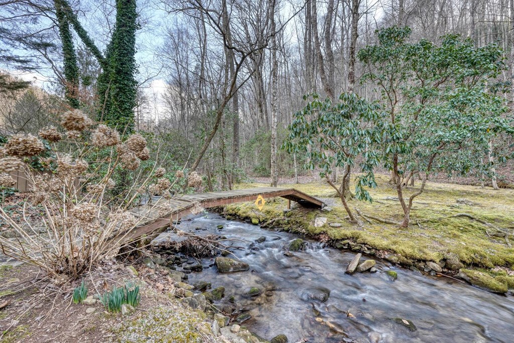 4868 Swallows Creek Road Hiawassee, GA 30546 - Photo 45 of 59 a view of a dry yard with trees
