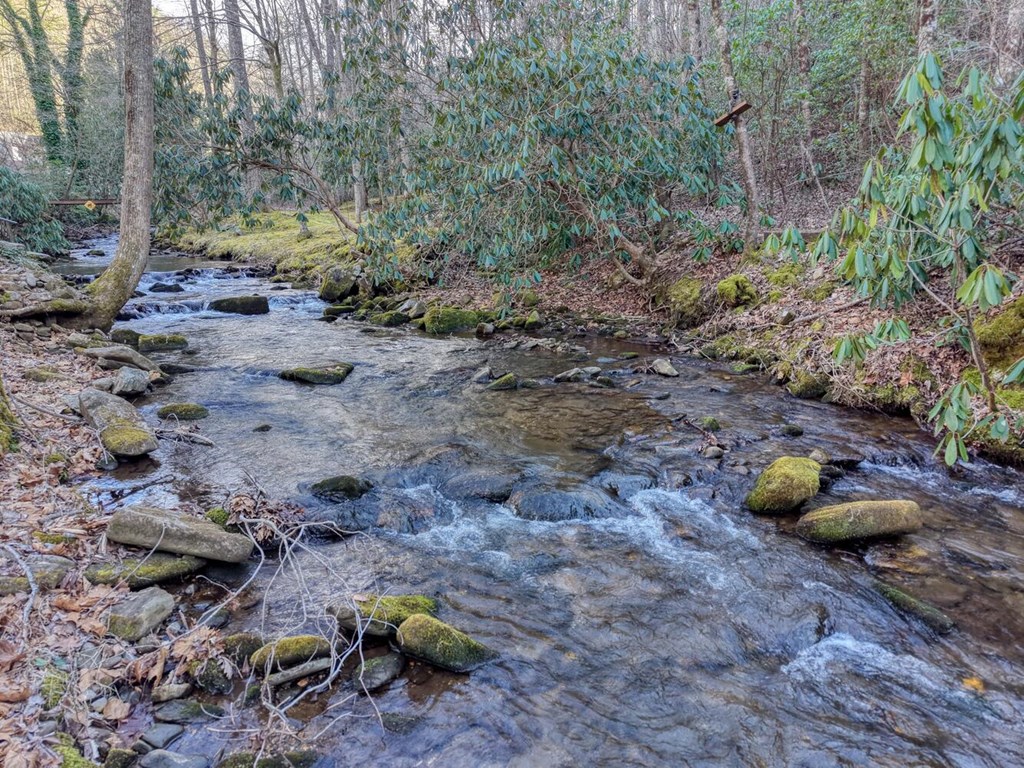4868 Swallows Creek Road Hiawassee, GA 30546 - Photo 52 of 59 a view of a backyard with lots of green space