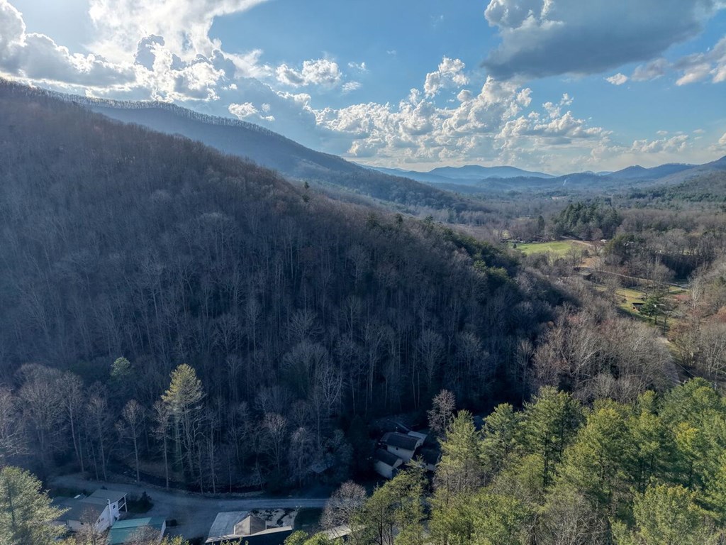 4868 Swallows Creek Road Hiawassee, GA 30546 - Photo 58 of 59