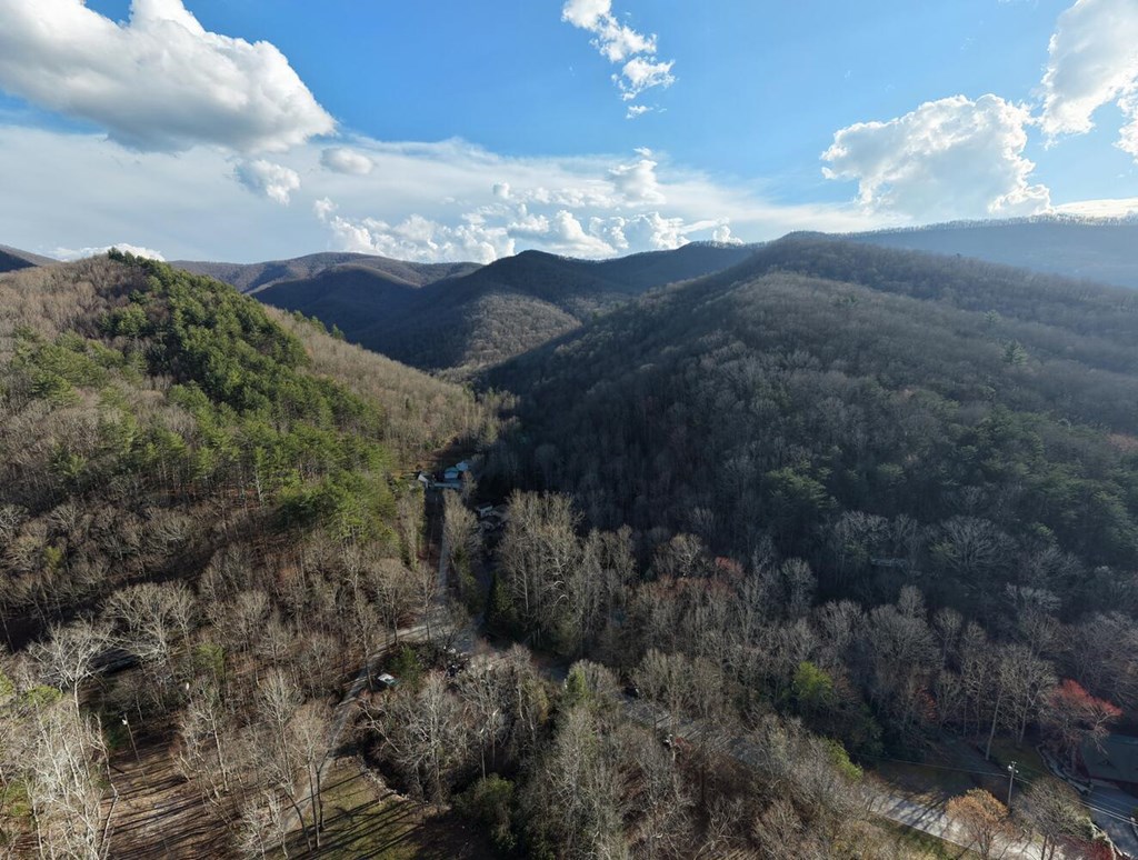 4868 Swallows Creek Road Hiawassee, GA 30546 - Photo 59 of 59