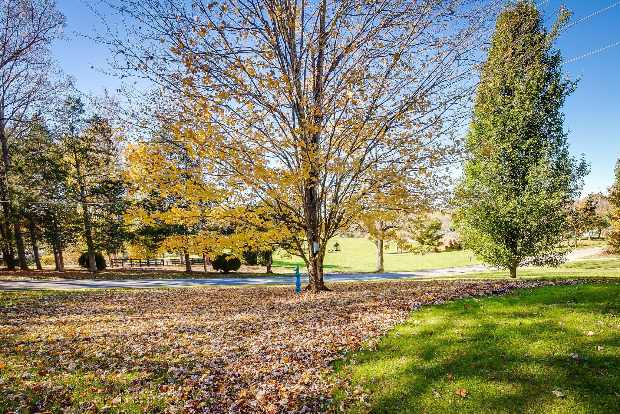 386 Oliver Edwards Road Jonesborough, TN 37659 - Photo 22 of 30 23-web-or-mls-Oliver Edwards-22