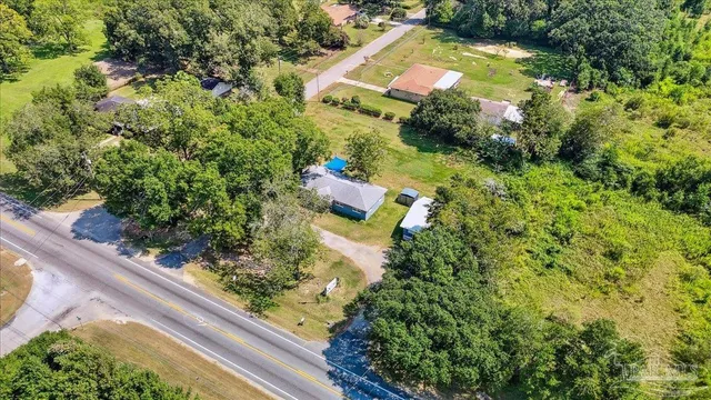 a view of a yard with plants