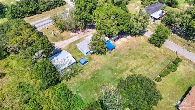 a view of a flower in a garden