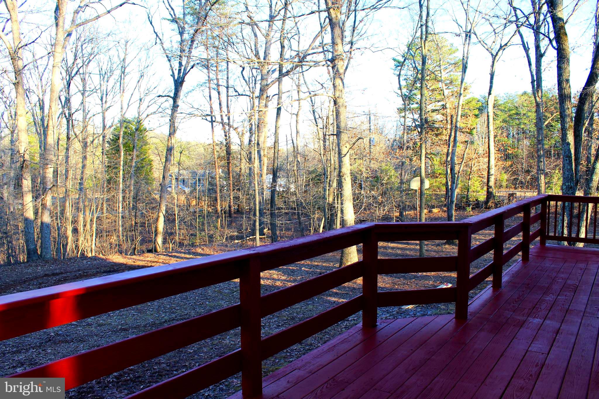 6000 Stubbs Bridge Road Mineral, VA 23117 - Photo 9 of 27 View From Rear Deck