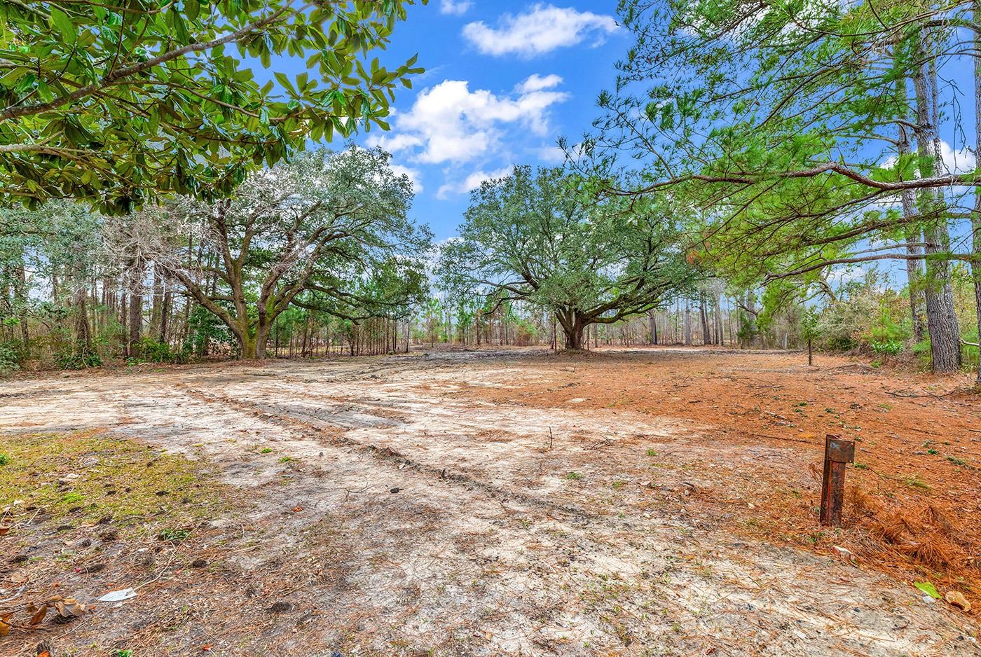 3930 Red Bluff Road Loris, SC 29569 - Photo 12 of 19