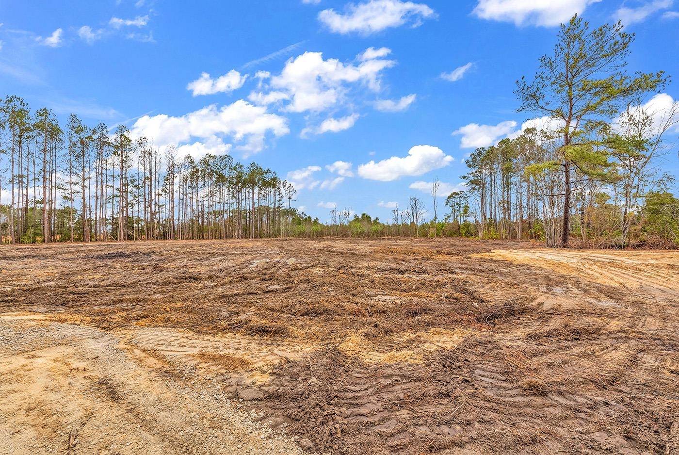 3930 Red Bluff Road Loris, SC 29569 - Photo 14 of 19