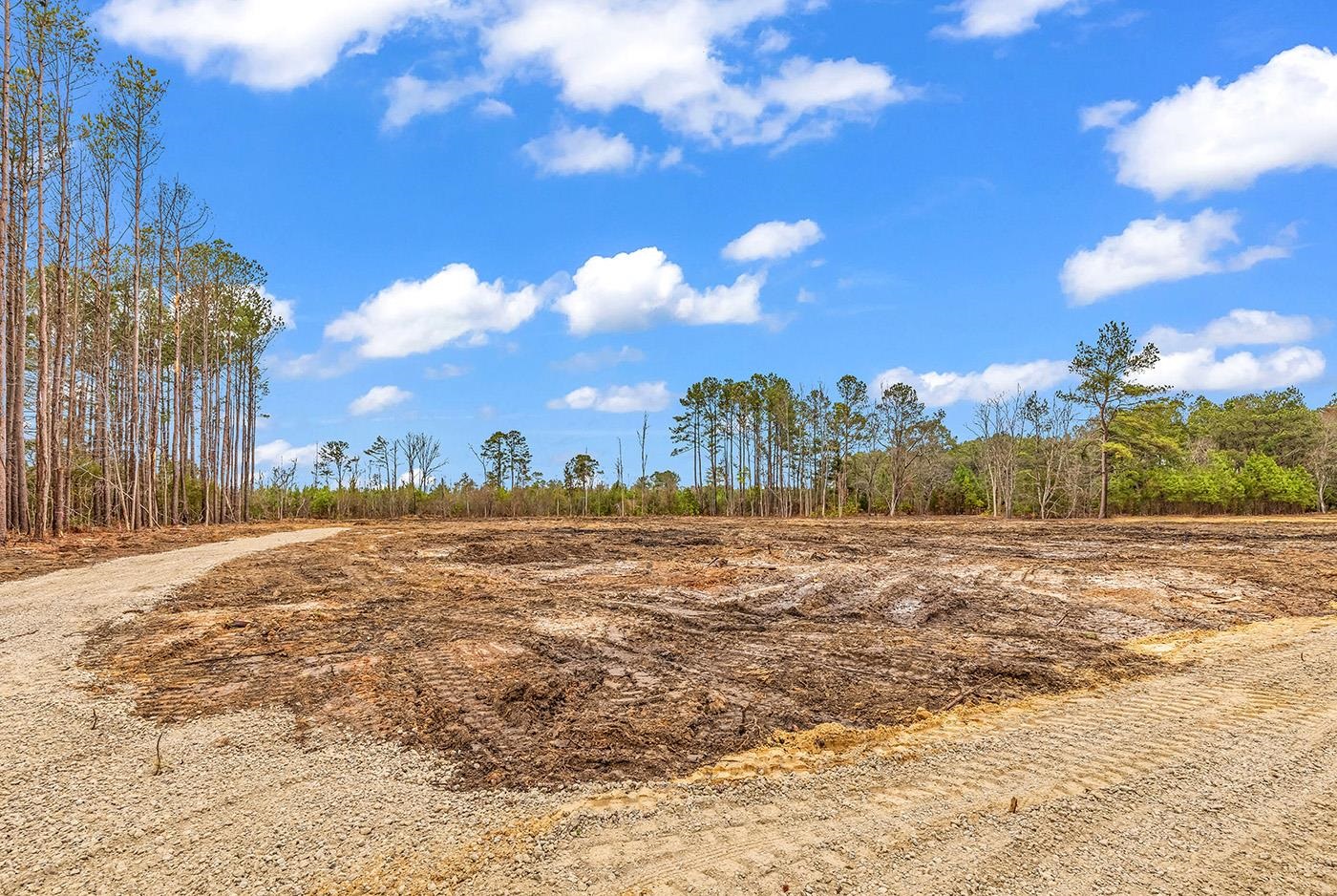 3930 Red Bluff Road Loris, SC 29569 - Photo 16 of 19