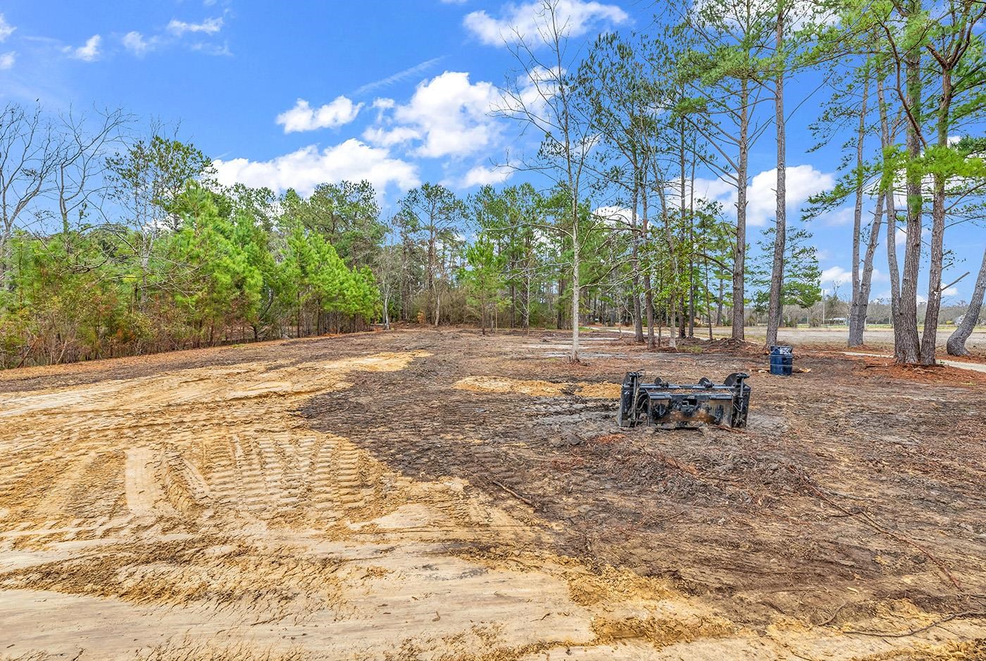 3930 Red Bluff Road Loris, SC 29569 - Photo 2 of 19
