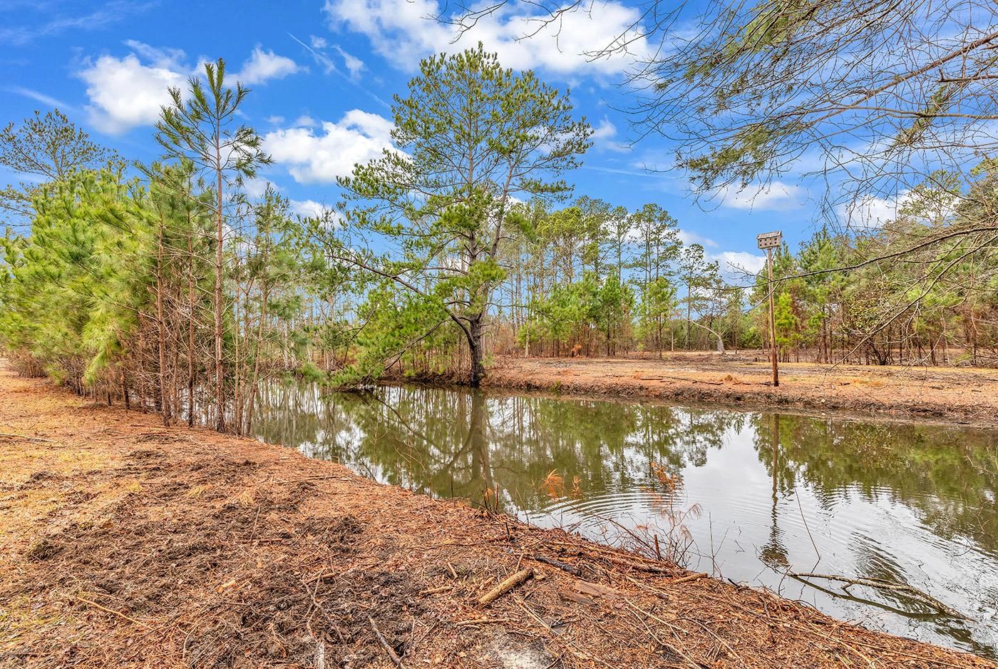 3930 Red Bluff Road Loris, SC 29569 - Photo 5 of 19