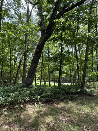 $65,000 | 6 C Greenfields Way North, Dunlap, TN 37327