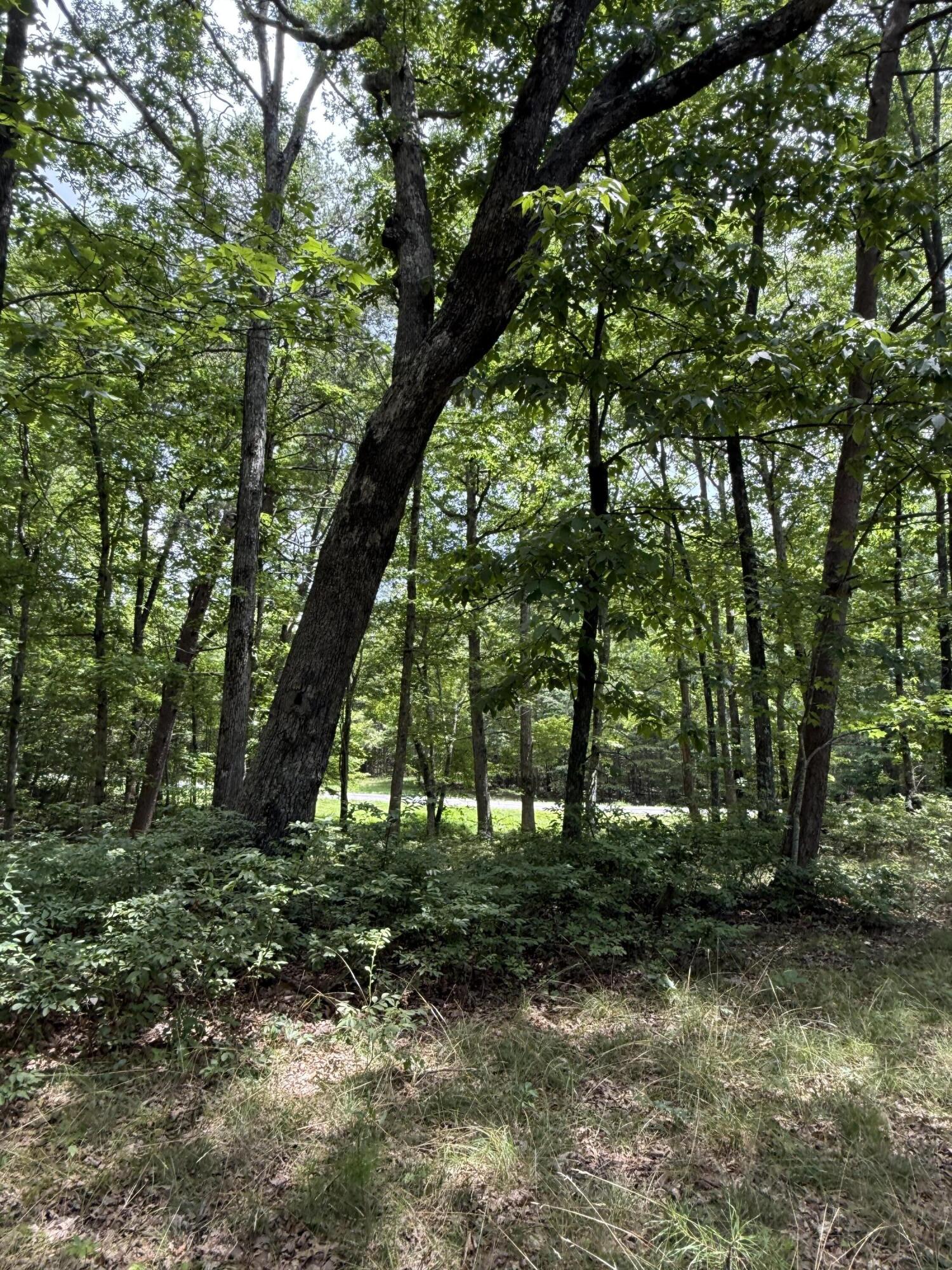 6 C Greenfields Way North Dunlap, TN 37327 - Photo 11 of 15 IMG_3254 (1)