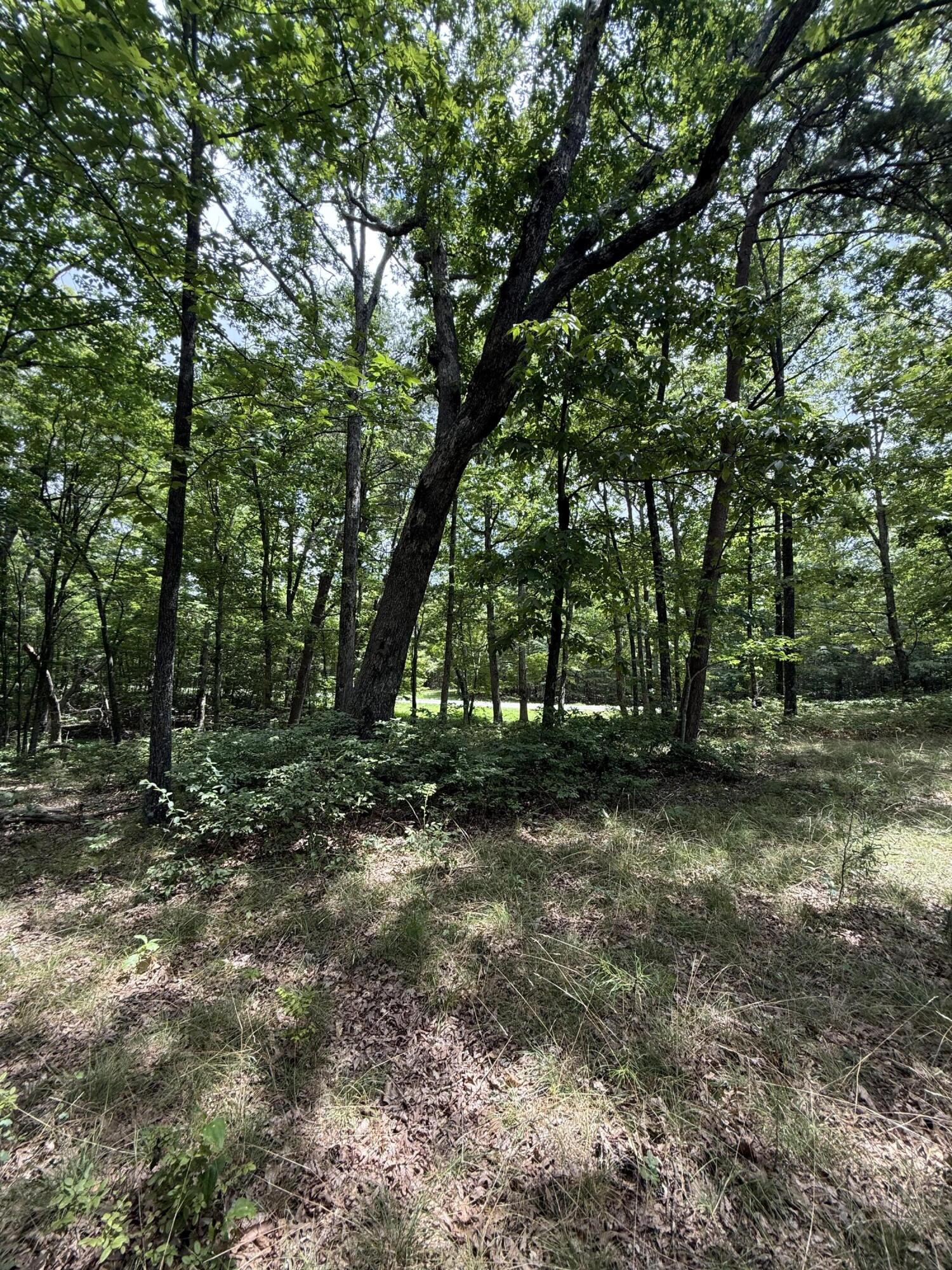 6 C Greenfields Way North Dunlap, TN 37327 - Photo 12 of 15 IMG_3255 (1)