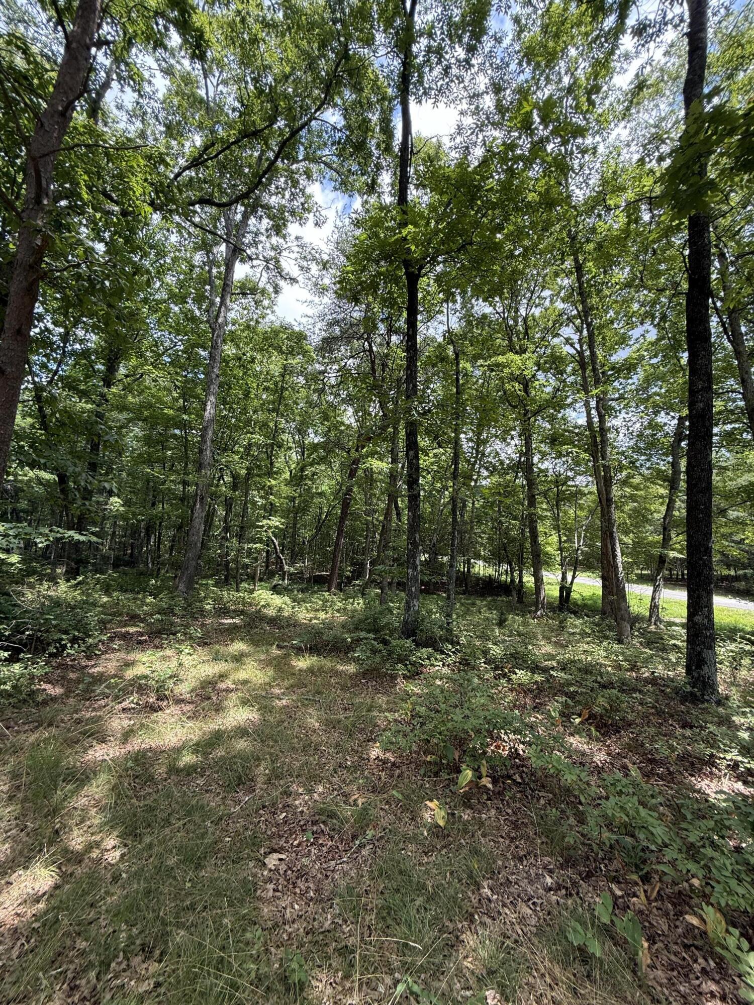 6 C Greenfields Way North Dunlap, TN 37327 - Photo 13 of 15 IMG_3256 (1)