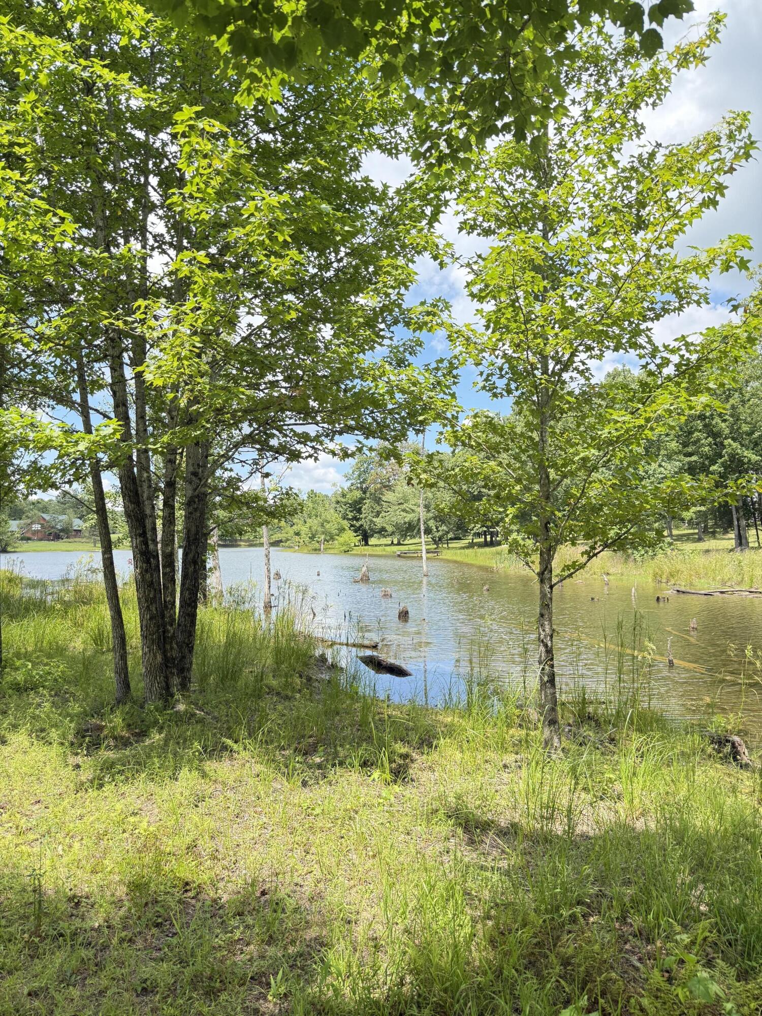 6 C Greenfields Way North Dunlap, TN 37327 - Photo 2 of 15 IMG_3244