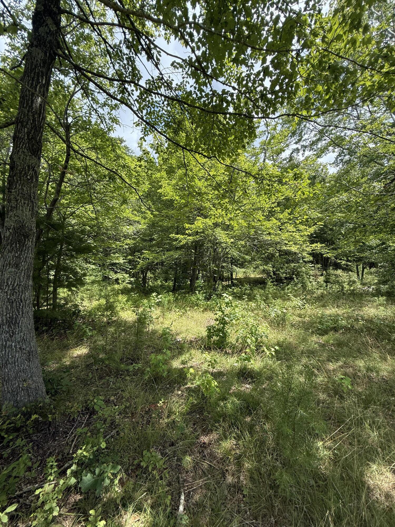 6 C Greenfields Way North Dunlap, TN 37327 - Photo 3 of 15 IMG_3245