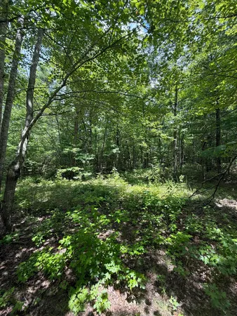 $65,000 | 6 C Greenfields Way North, Dunlap, TN 37327