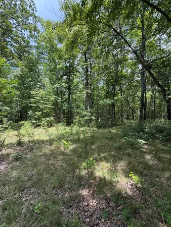 $65,000 | 6 C Greenfields Way North, Dunlap, TN 37327