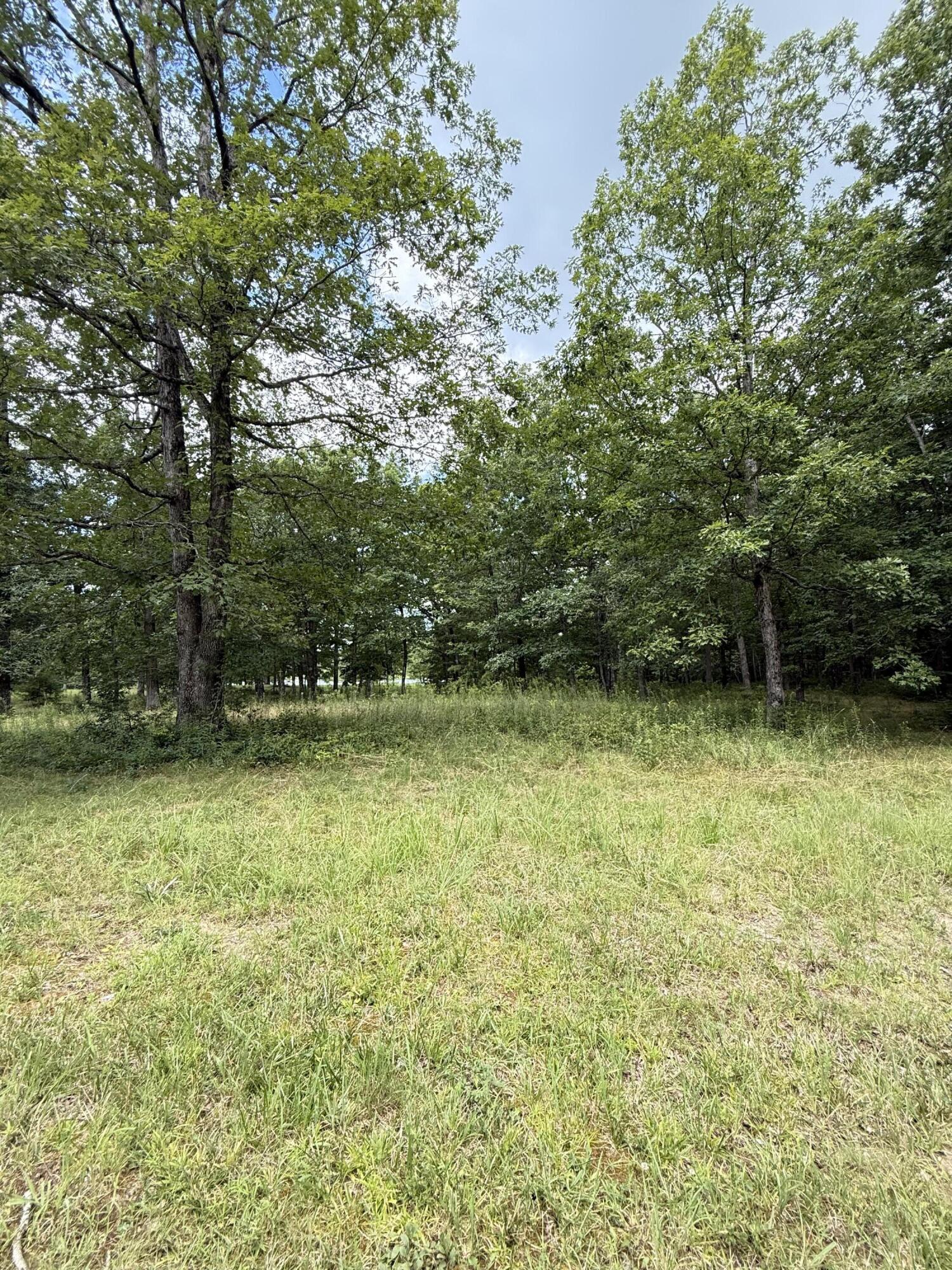 6 C Greenfields Way North Dunlap, TN 37327 - Photo 8 of 15 IMG_3259