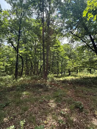 $65,000 | 6 C Greenfields Way North, Dunlap, TN 37327