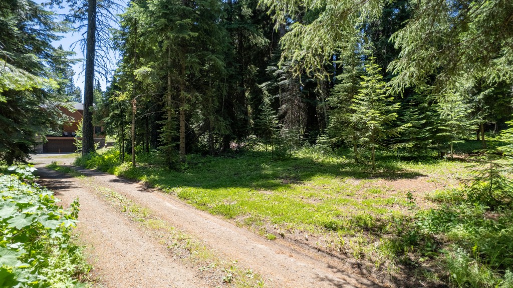 2207 Davy Road, Unit 23 Donnelly, ID 83615 - Photo 6 of 12 View to the west