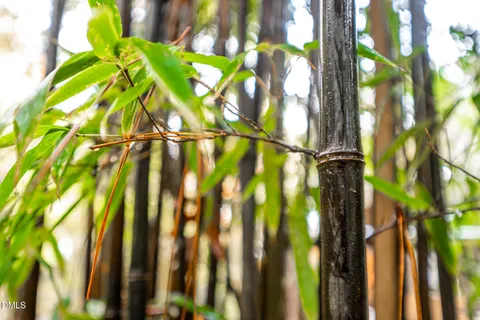 $929,900 | 233 Bartlett Drive, Pittsboro, NC 27312