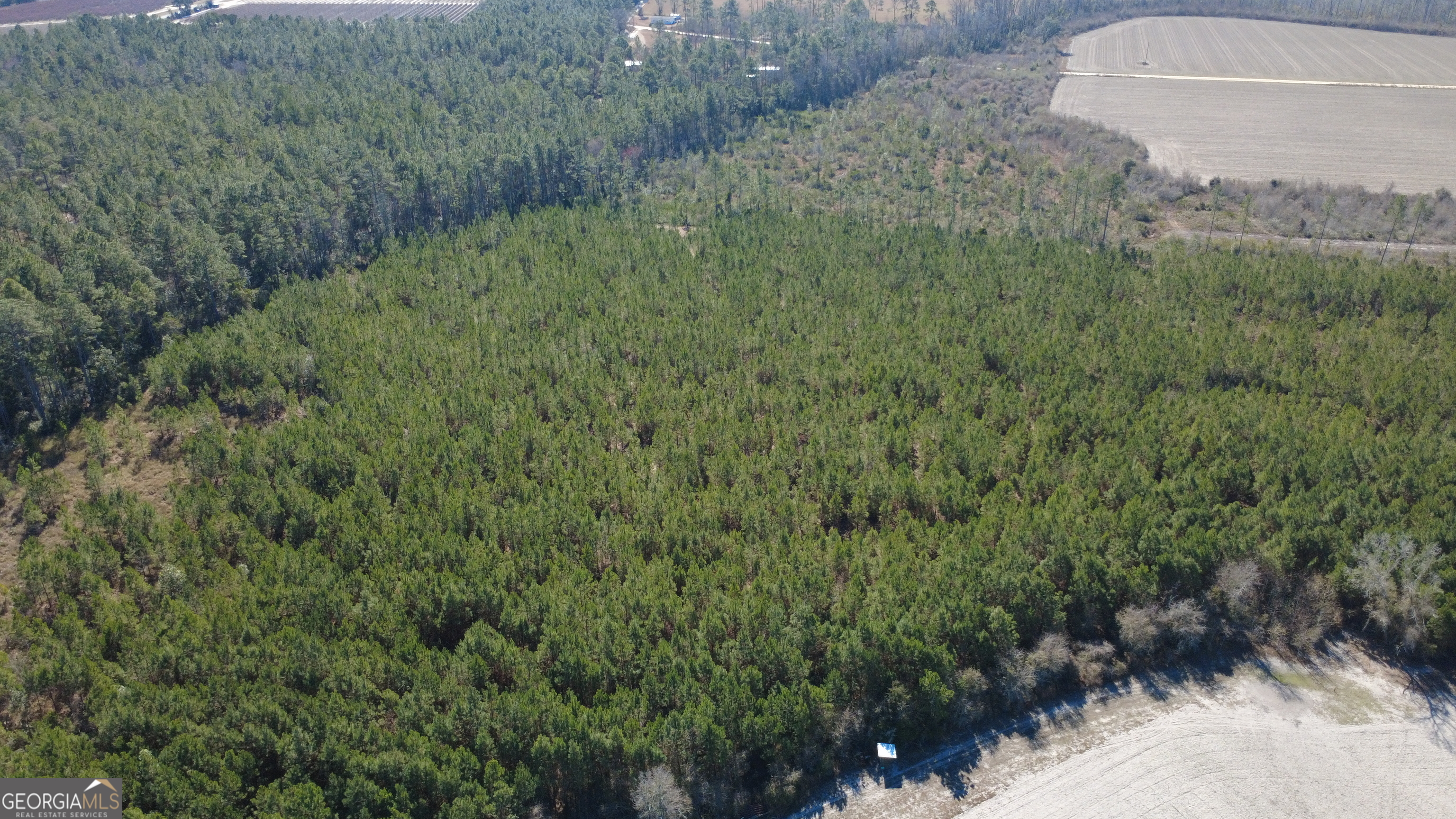 4 Greyhound Road Mershon, GA 31551 - Photo 2 of 6