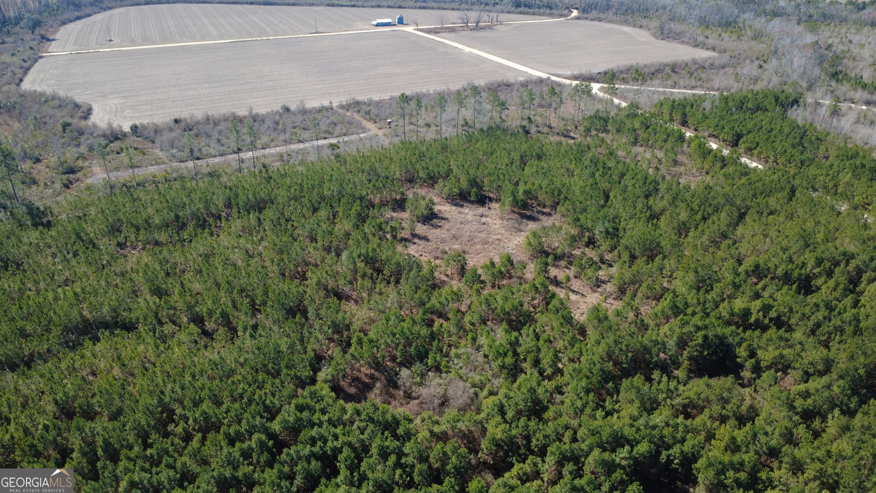 4 Greyhound Road Mershon, GA 31551 - Photo 3 of 6