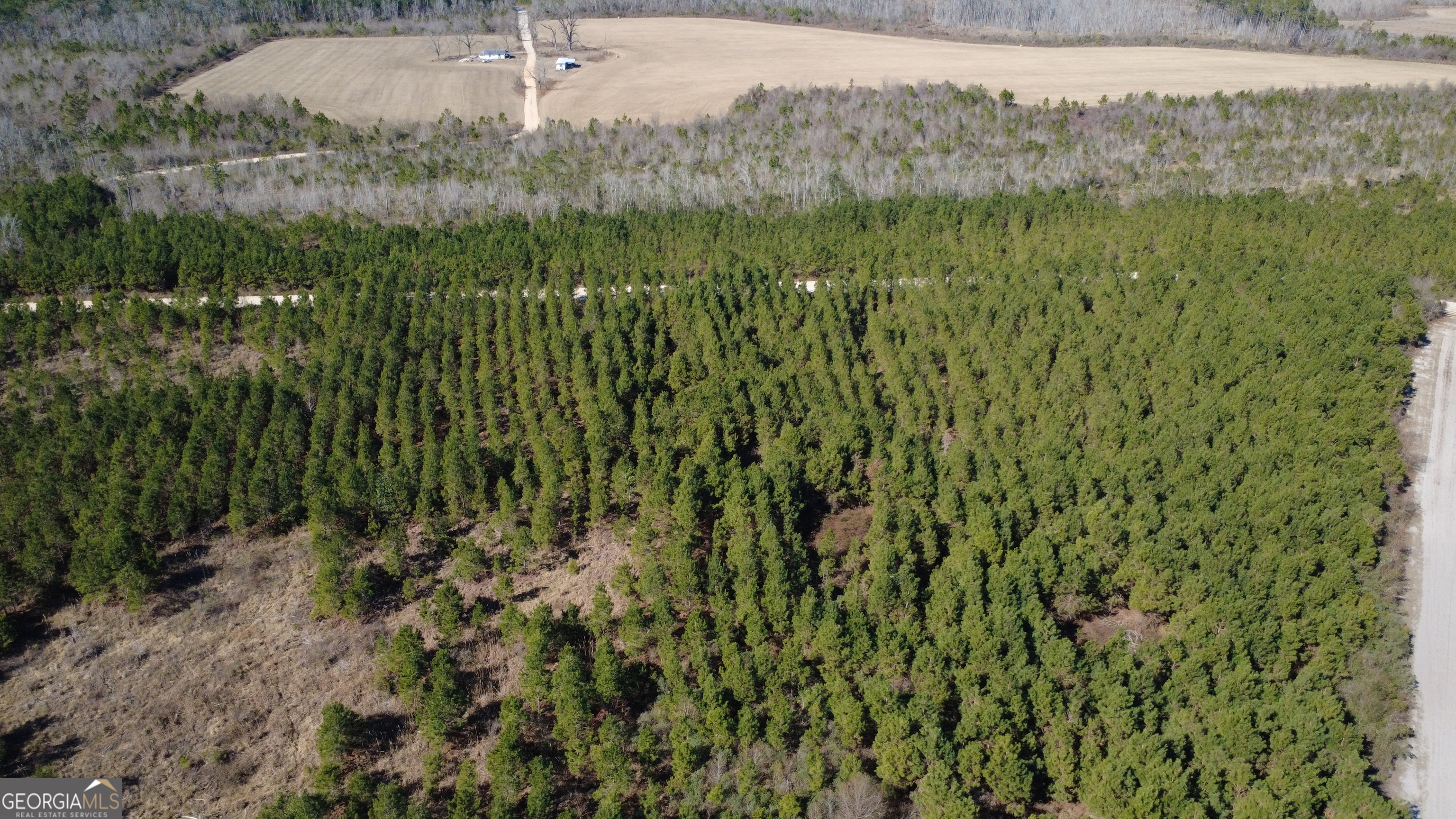 4 Greyhound Road Mershon, GA 31551 - Photo 4 of 6