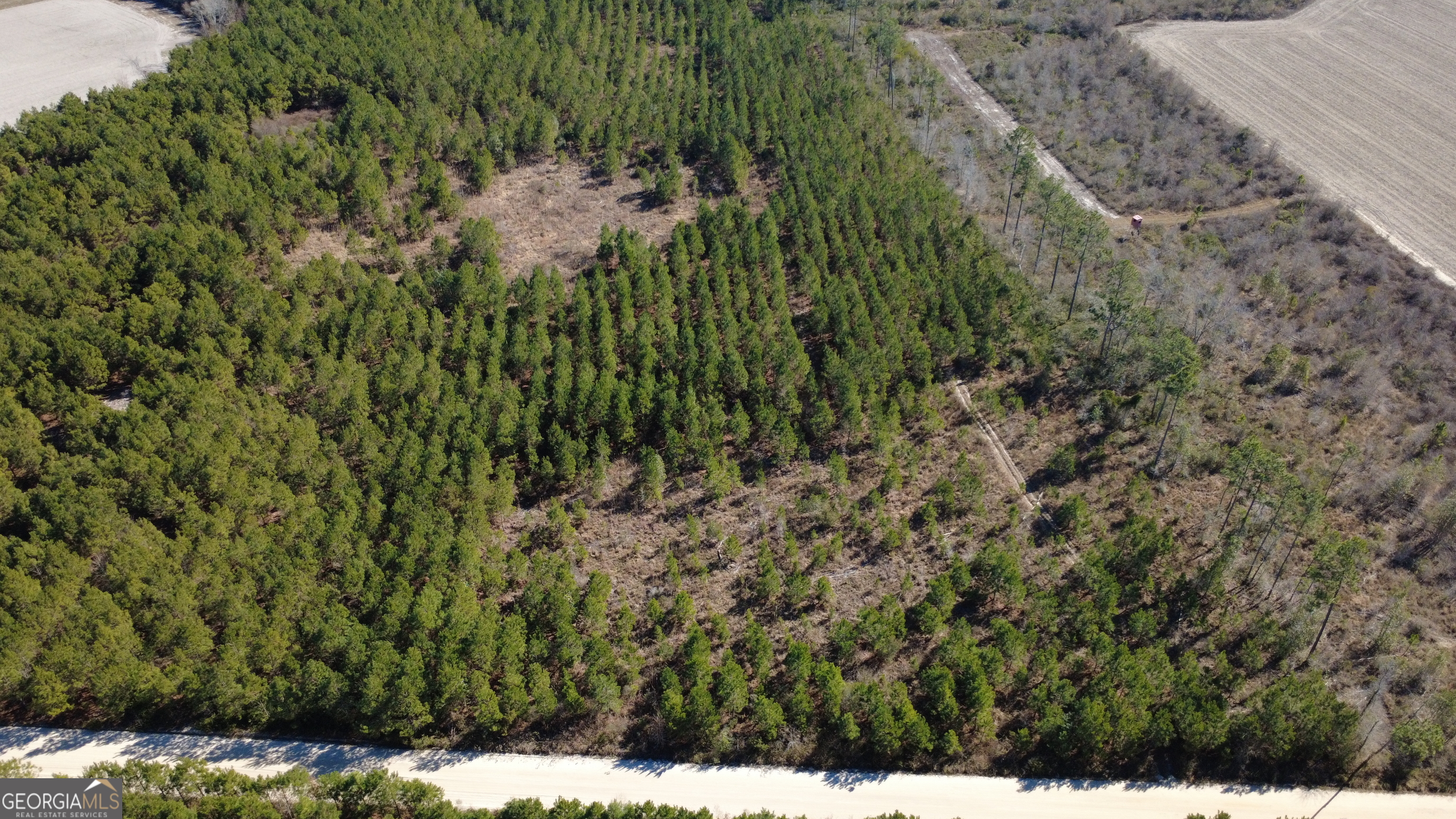 4 Greyhound Road Mershon, GA 31551 - Photo 5 of 6