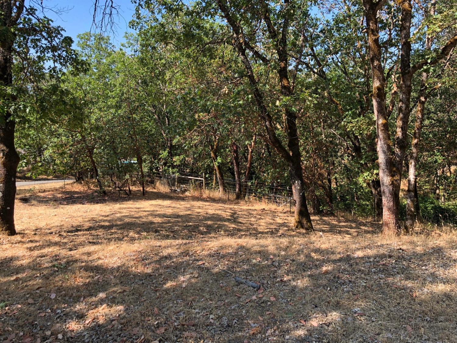 881 Three Pines Road Grants Pass, OR 97526 - Photo 9 of 15 a view of dirt yard with a tree