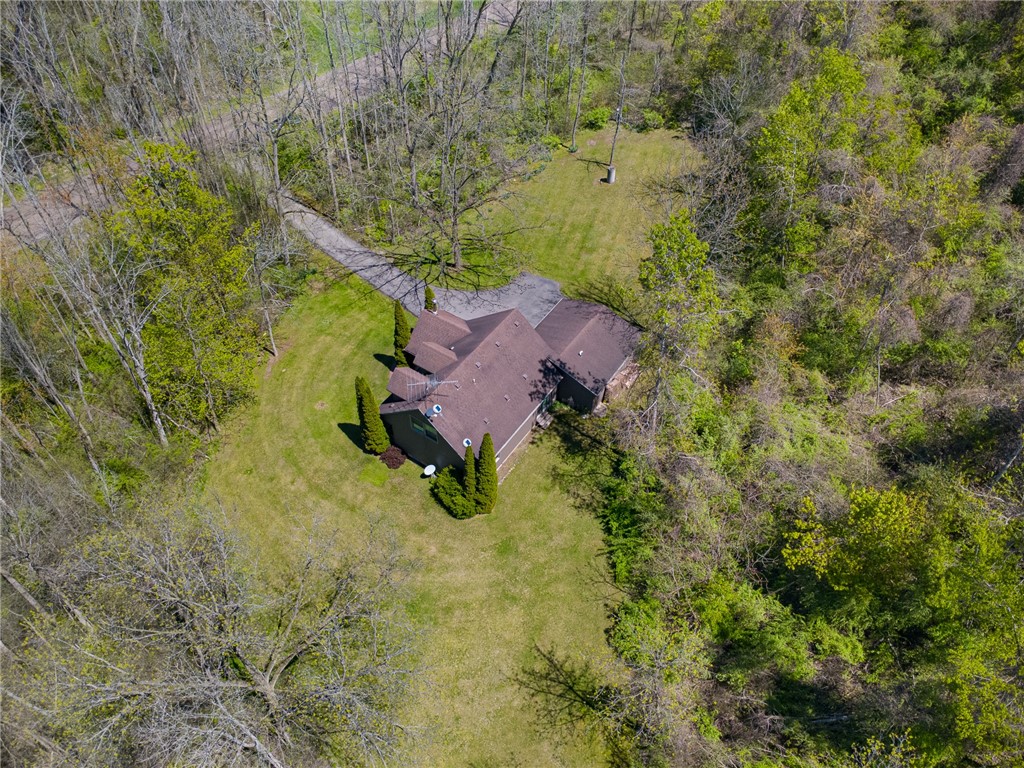 4397 Sebring Road Sodus, NY 14551 - Photo 8 of 43 Want to add a POLE BARN? Lots of space here!