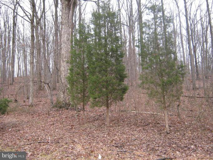 1635 Bowersox Road New Windsor, MD 21776 - Photo 7 of 11 Back yard