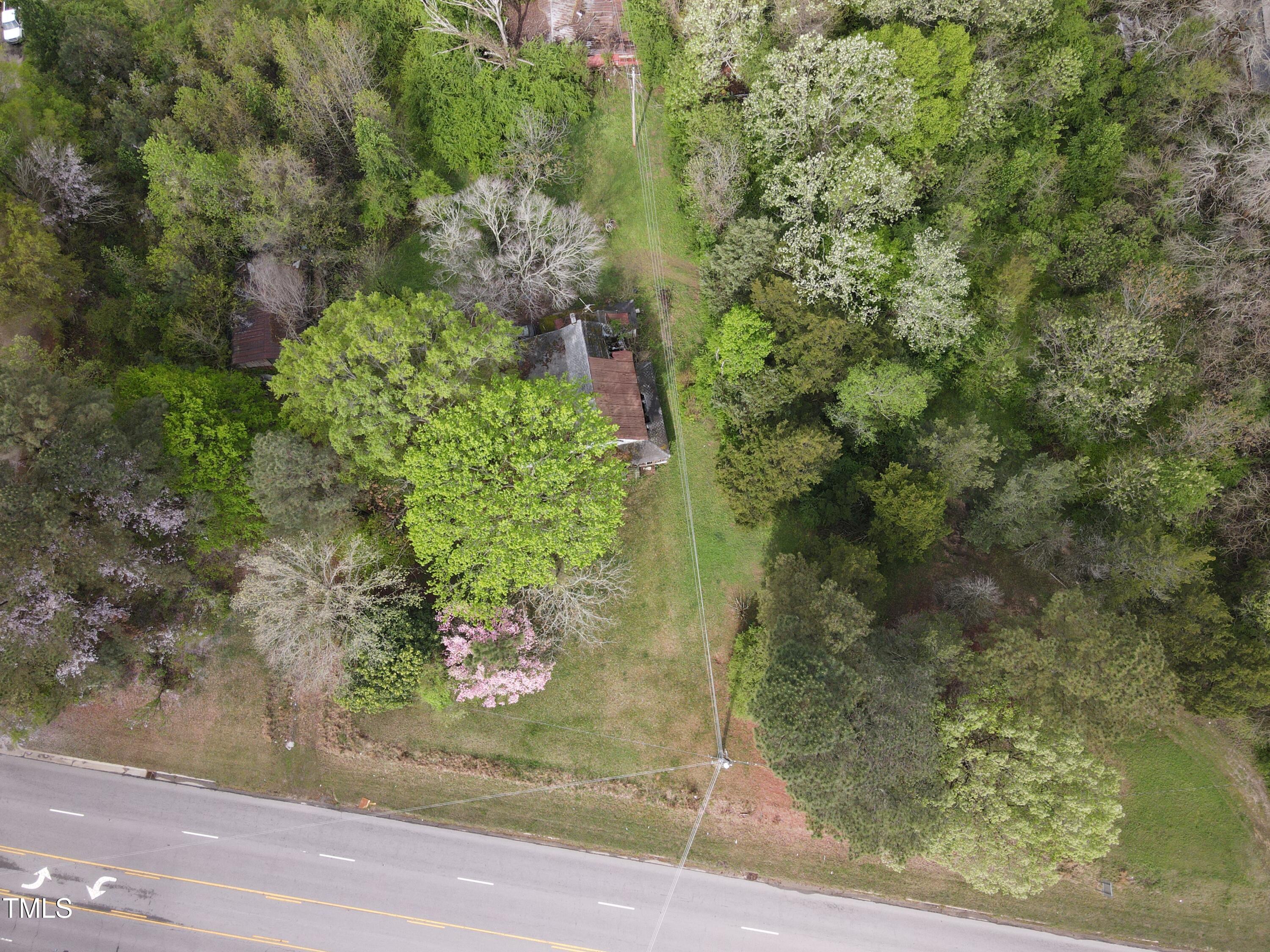 1594 Us Highway Kittrell, NC 27544 - Photo 18 of 24 a view of a yard with plants