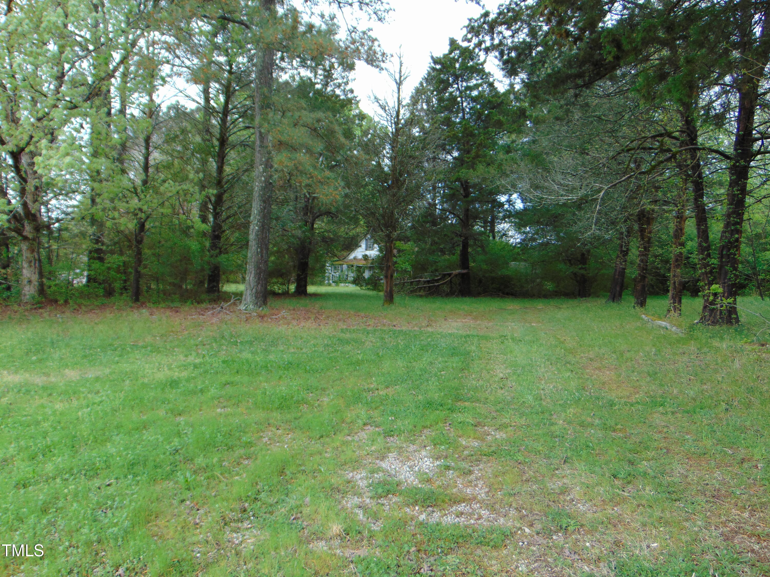 1594 Us Highway Kittrell, NC 27544 - Photo 3 of 24 a view of a green field with trees in the background
