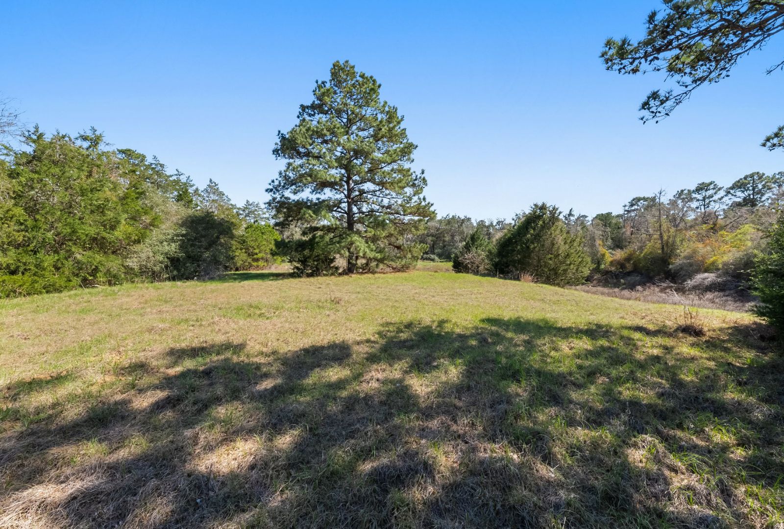 490 John Craft Road Red Rock, TX 78662 - Photo 27 of 40